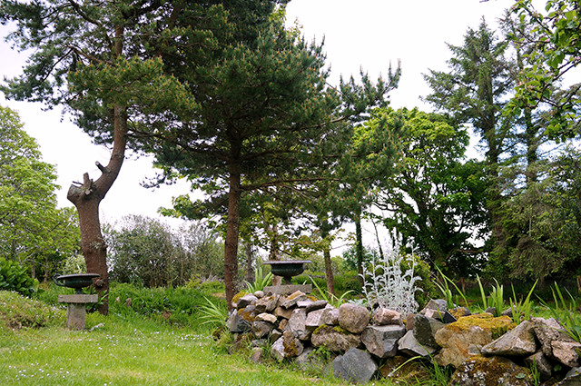 Errisbeg House The Garden